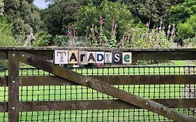 @Taradise-Opunake - Eco-Friendly Coastal Hideaway